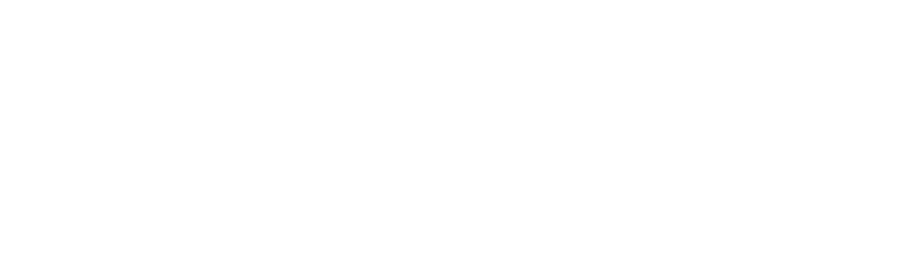 anthem-white.webp